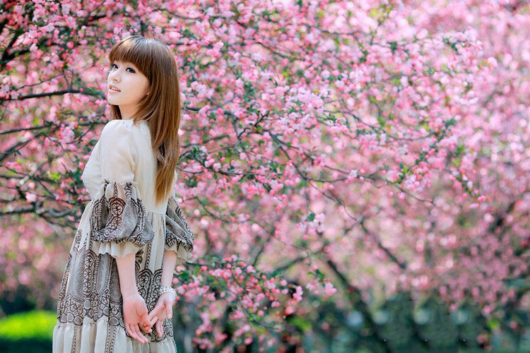 灿烂花季下的清纯少女