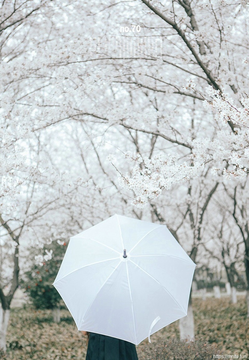 日系樱花双马尾纯真少女笑容甜美写真