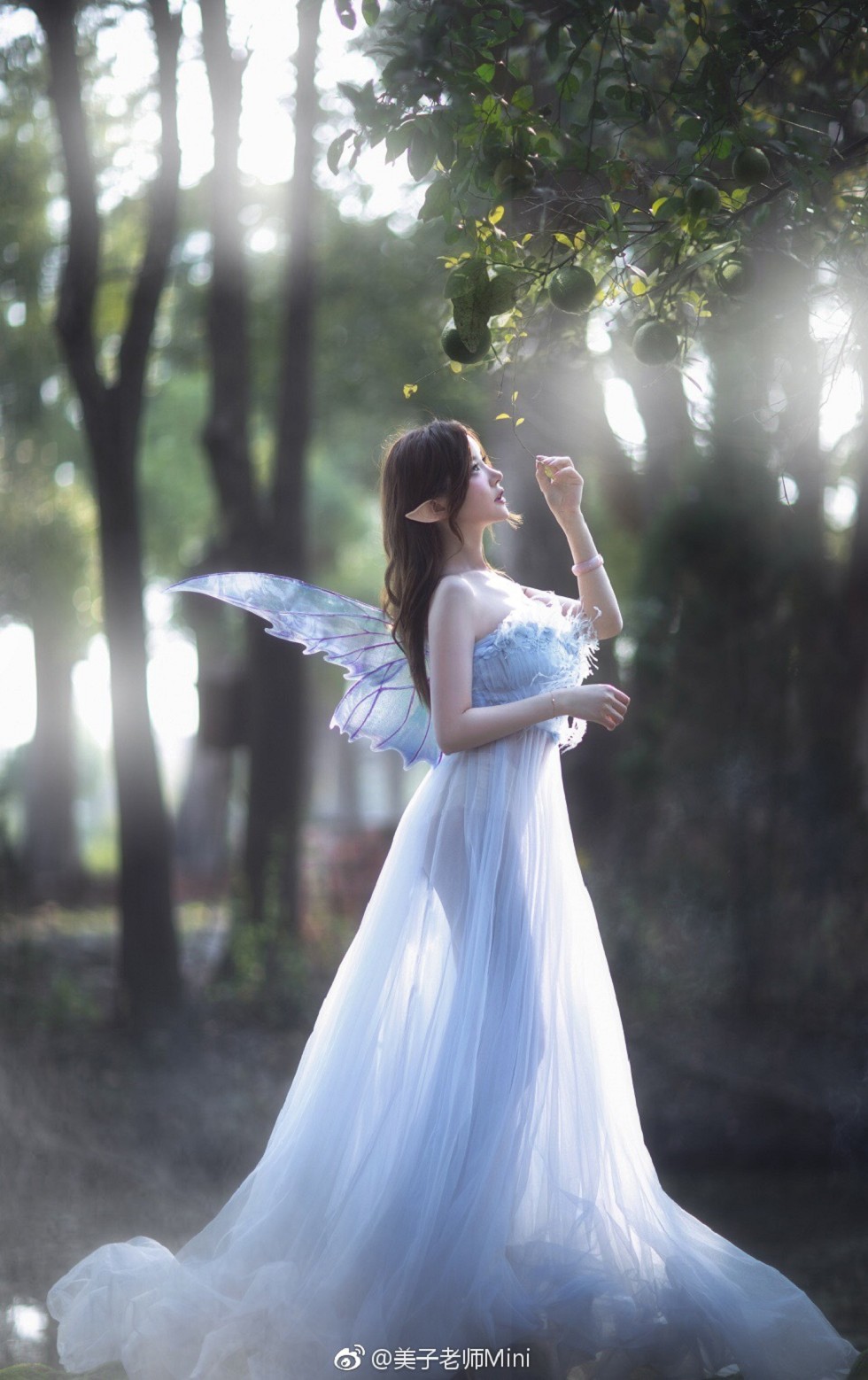 性感女神糯美子Mini完美身材唯美生活海量微博写真348P