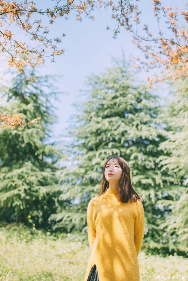 三月的春风下黄色毛衣美女甜美清新写真