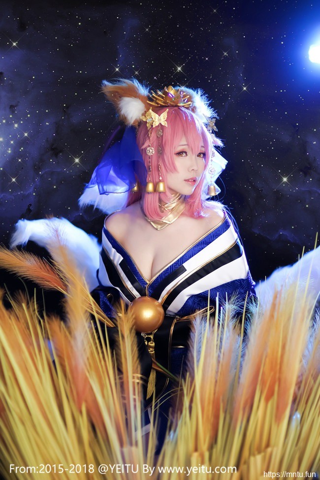 ElyEE子COS Fate-Grand-Order兽耳满破玉藻前