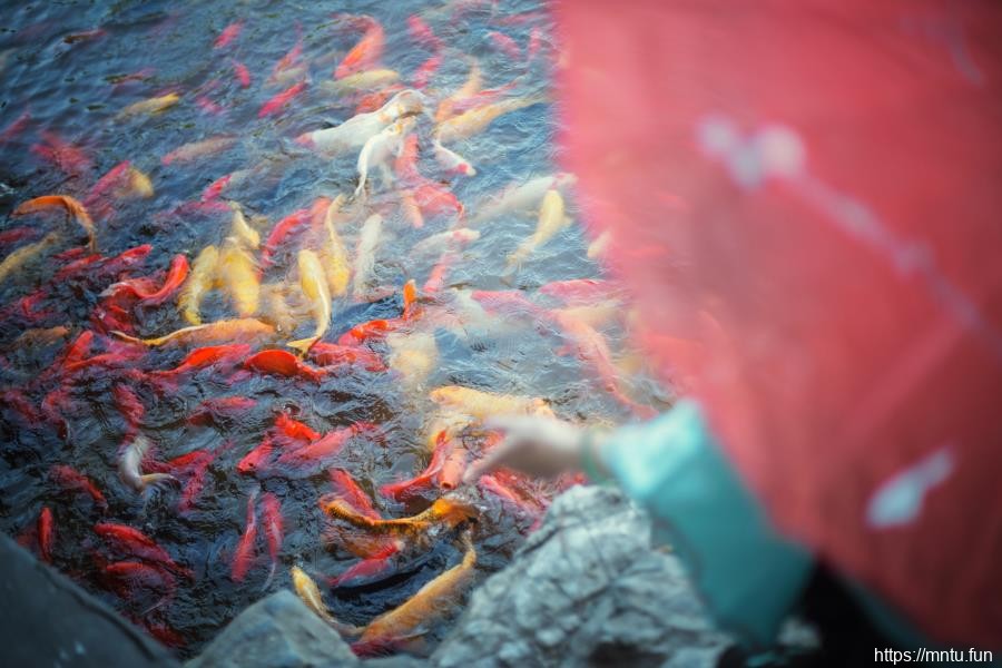 萌系美女汐兔子黑丝美腿COSPLAY洛天依