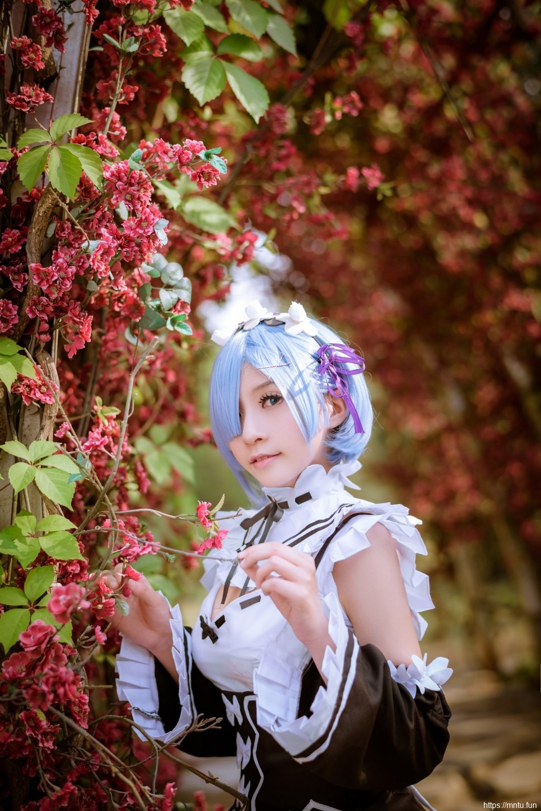 短发美女cosplay从零开始蕾姆女仆装制服诱惑