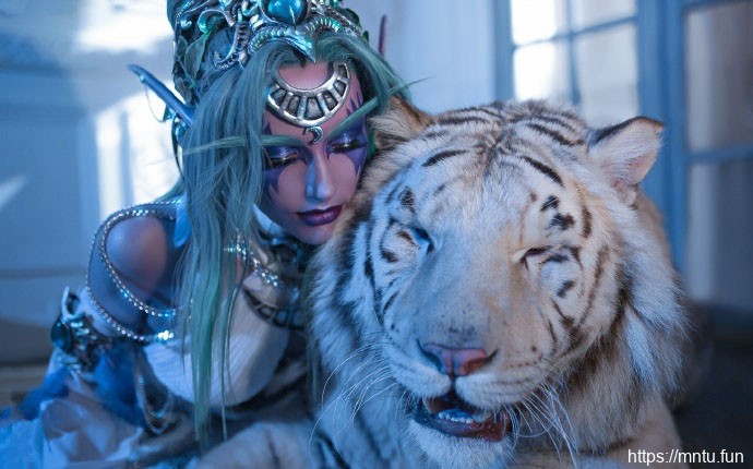 俄罗斯美女cosplay魔兽世界性感写真图片