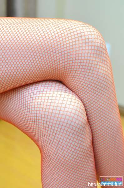 红丝网袜~写真套图