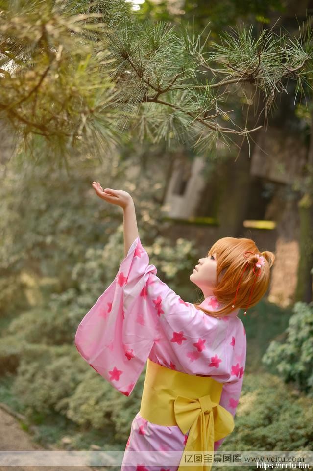 日系魔卡少女樱花下的COS