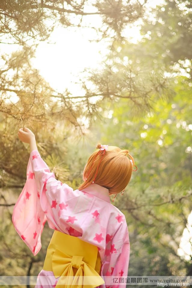 日系魔卡少女樱花下的COS