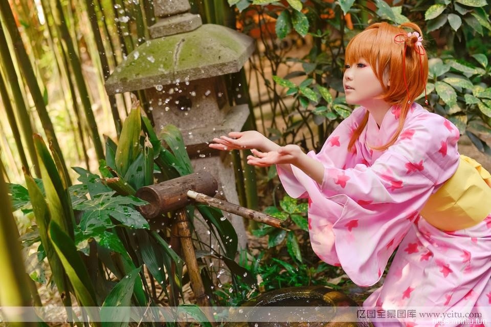 日系魔卡少女樱花下的COS