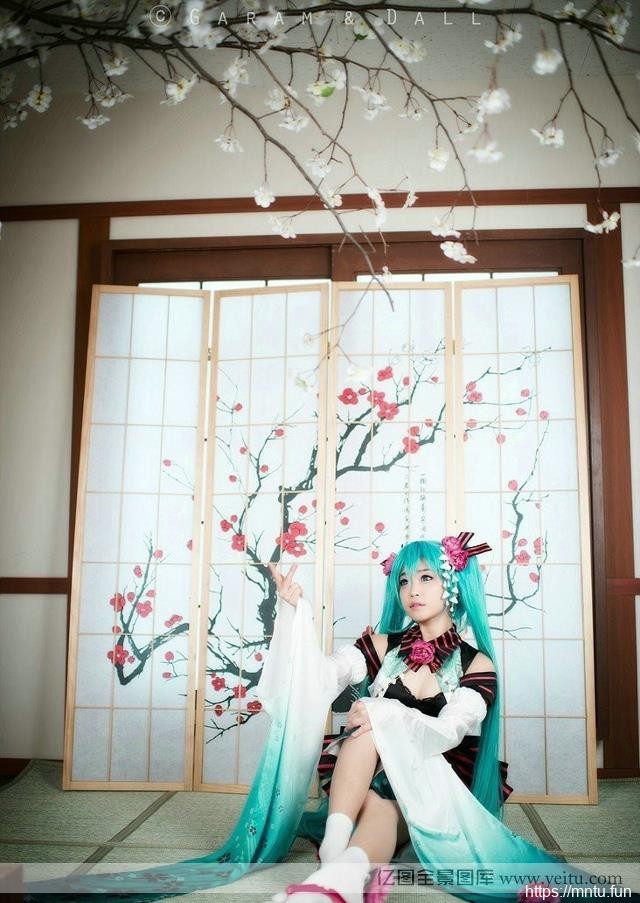 精致美女初音COS美腿酥胸清纯诱惑