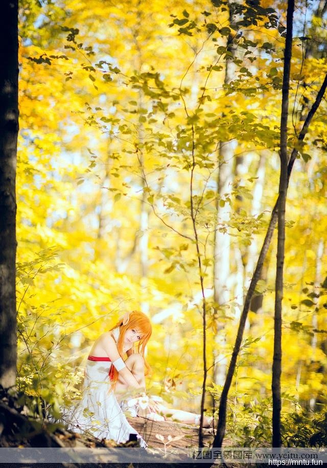 森林中的精灵少女cos动漫衣服cosplayplay