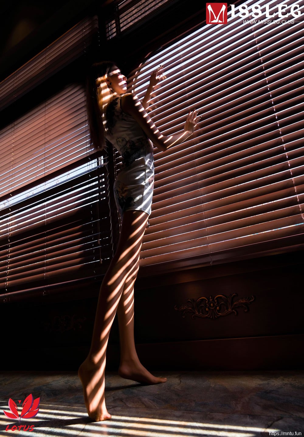 心语《旗袍美人+吊带肚兜》 [蜜丝MISSLEG] M008