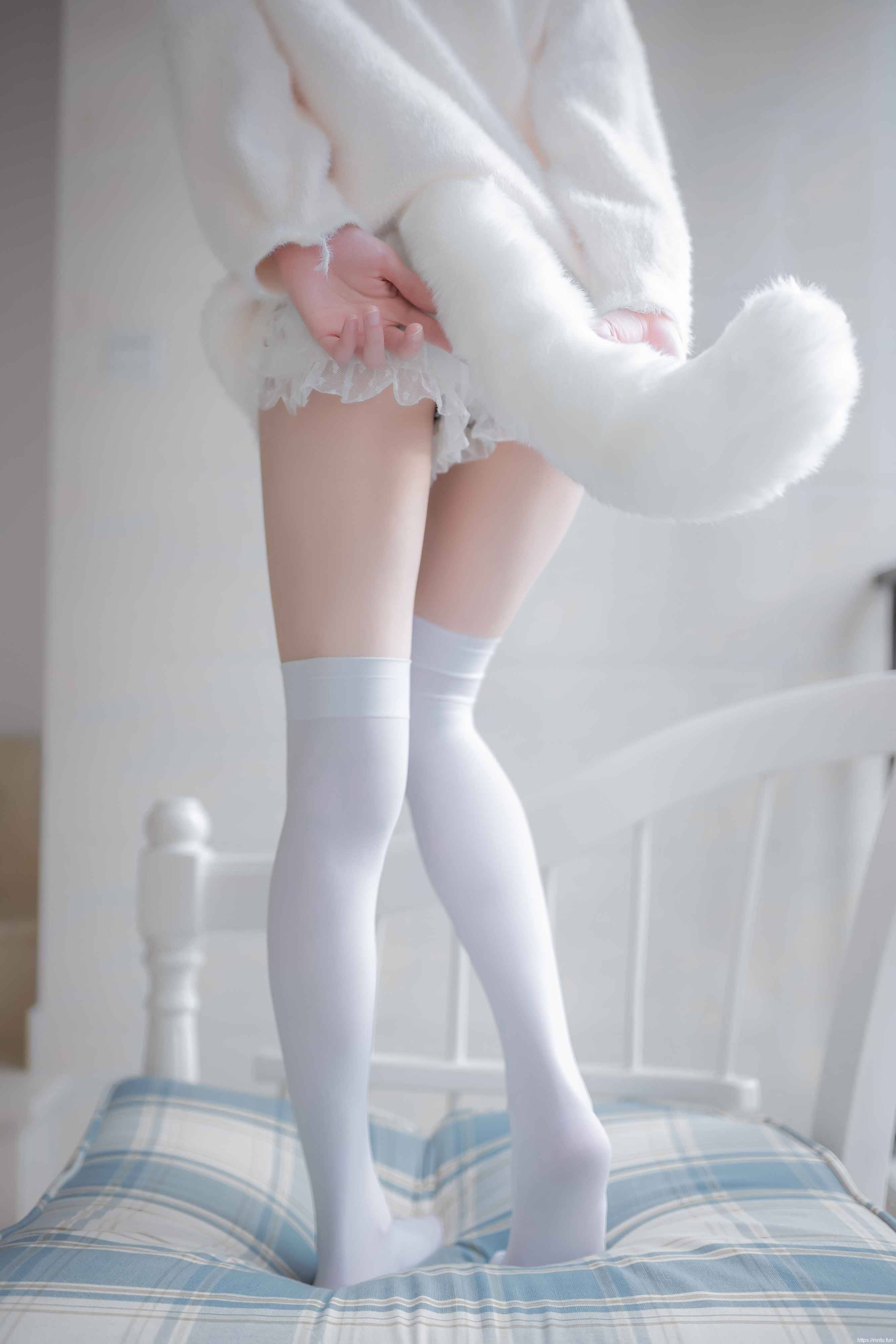 绮太郎 Kitaro白喵女友