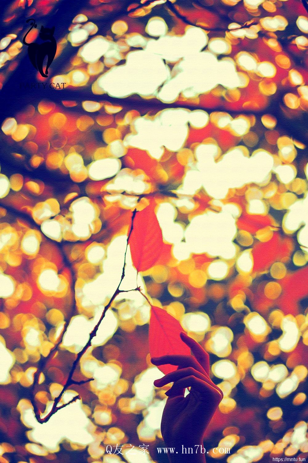 清纯甜美少女紫琪无遮挡人体艺术图片摄影