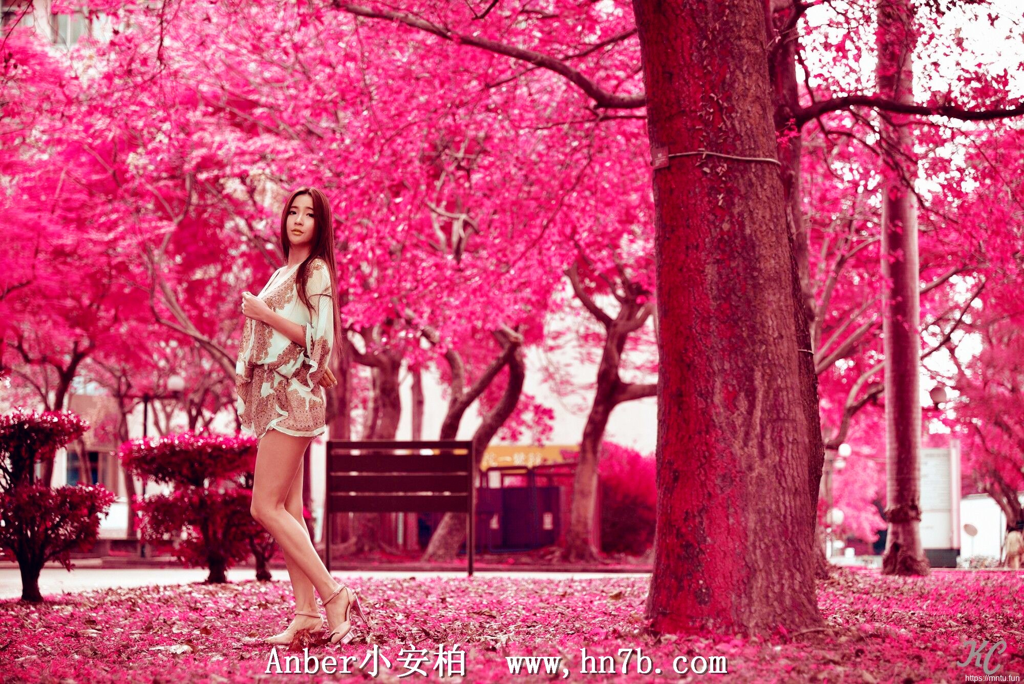 极品台湾美女Anber小安柏图片摄影