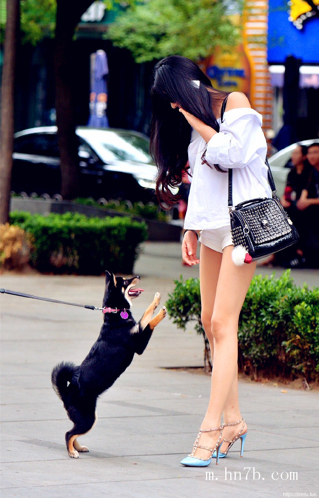 大胸mm时尚街拍美女图集