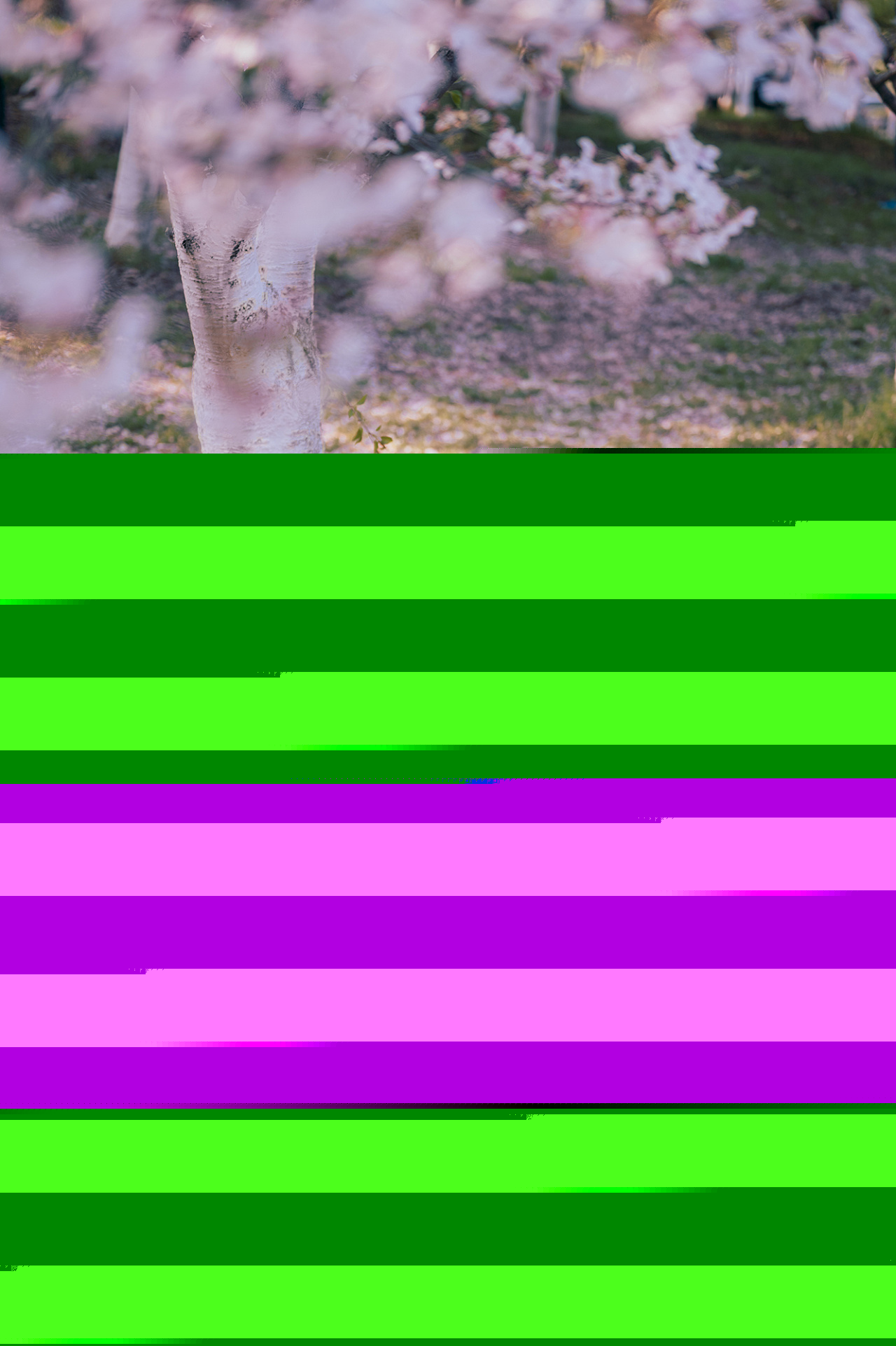 十里桃林里纤纤汉服少女唯美浪漫的古风摄影图片