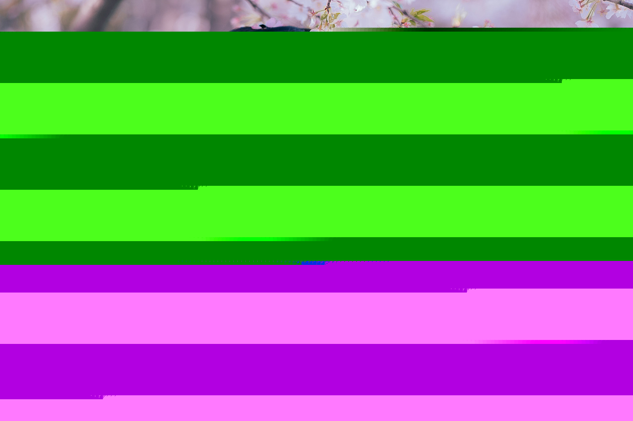 十里桃林里纤纤汉服少女唯美浪漫的古风摄影图片