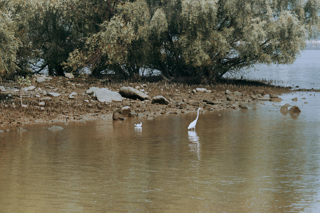 气质唯美的古装汉服美女半遮半掩清纯古风摄影图片