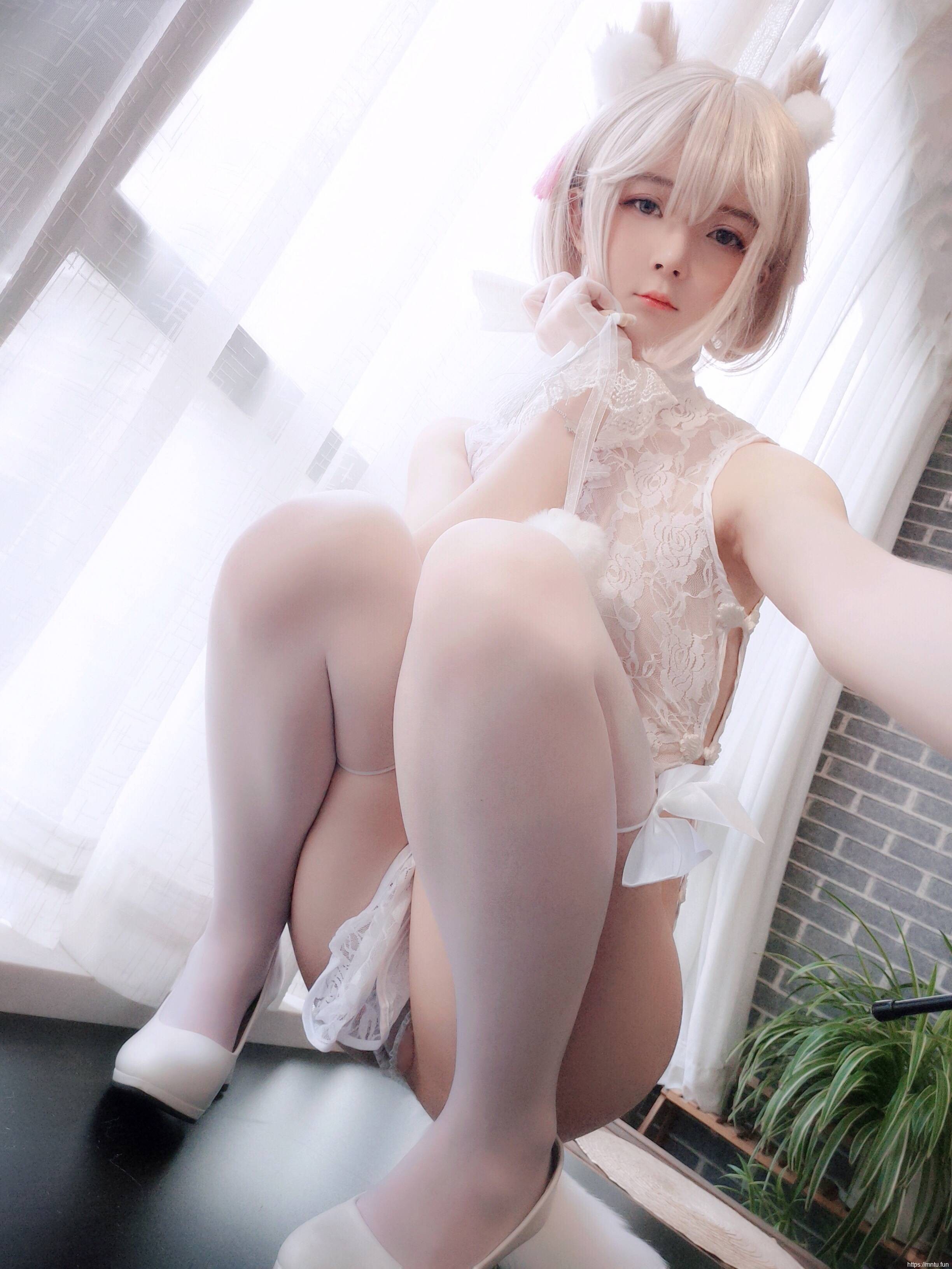 小央泽-家养小动物