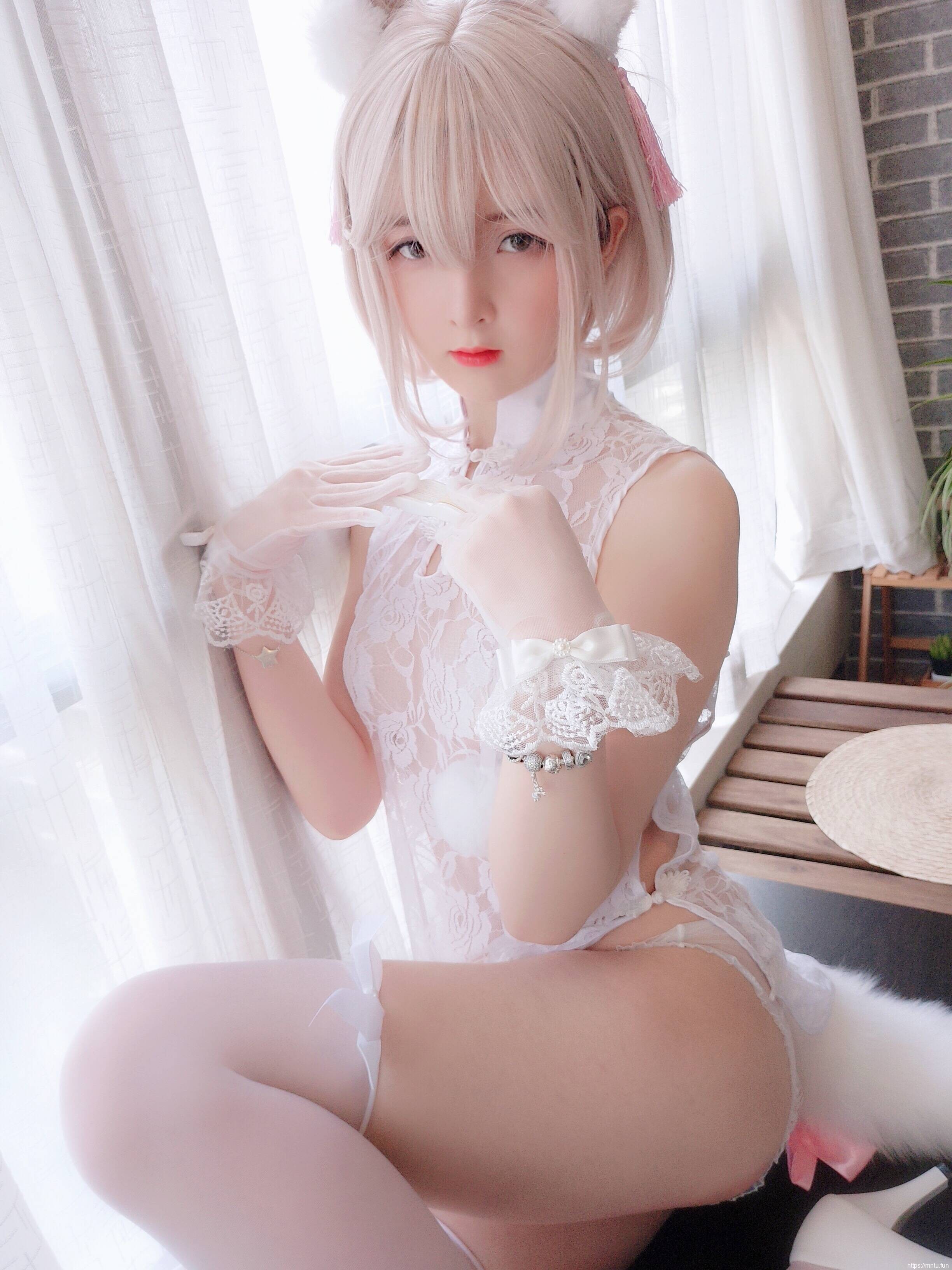 小央泽-家养小动物