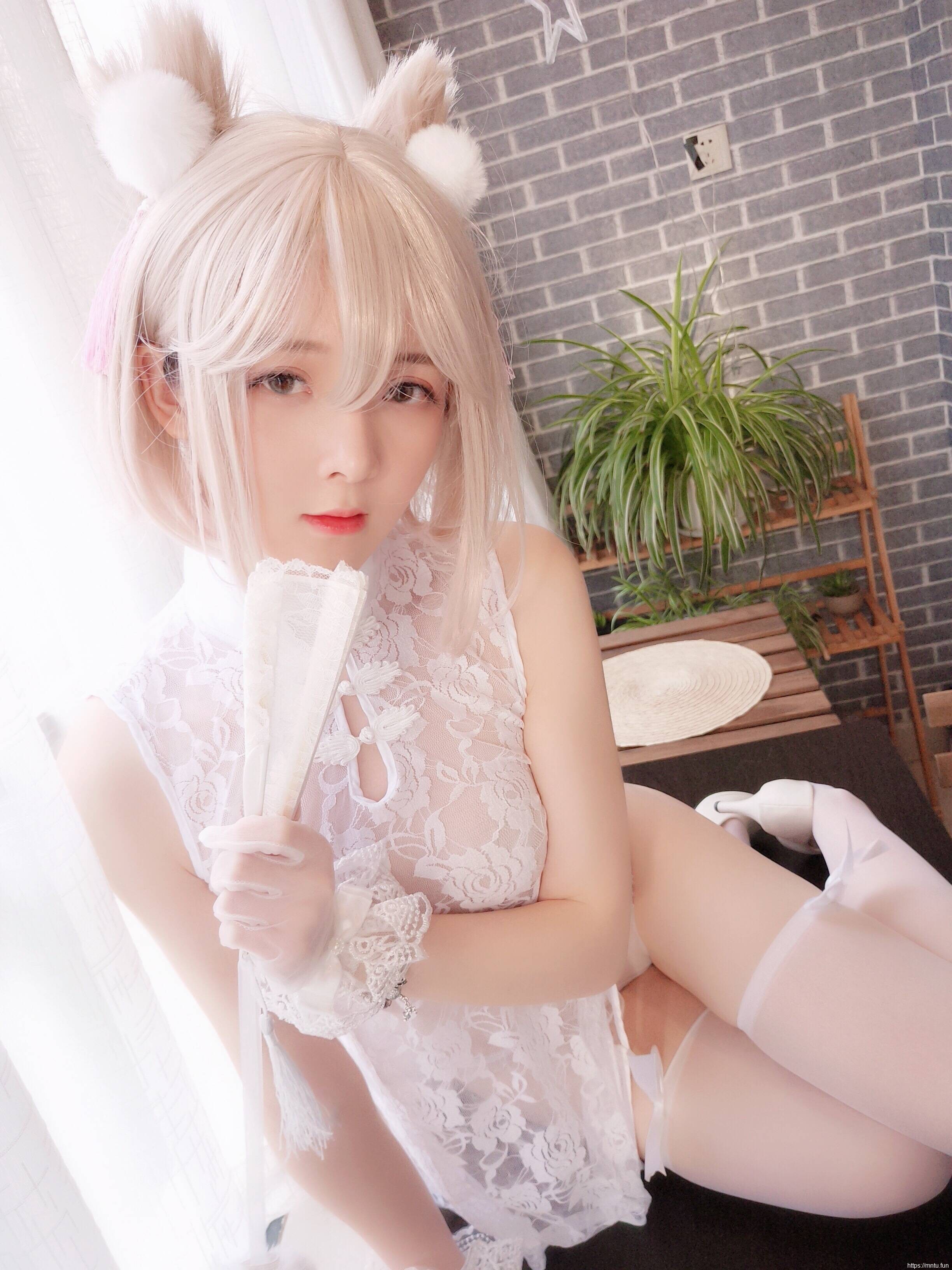 小央泽-家养小动物