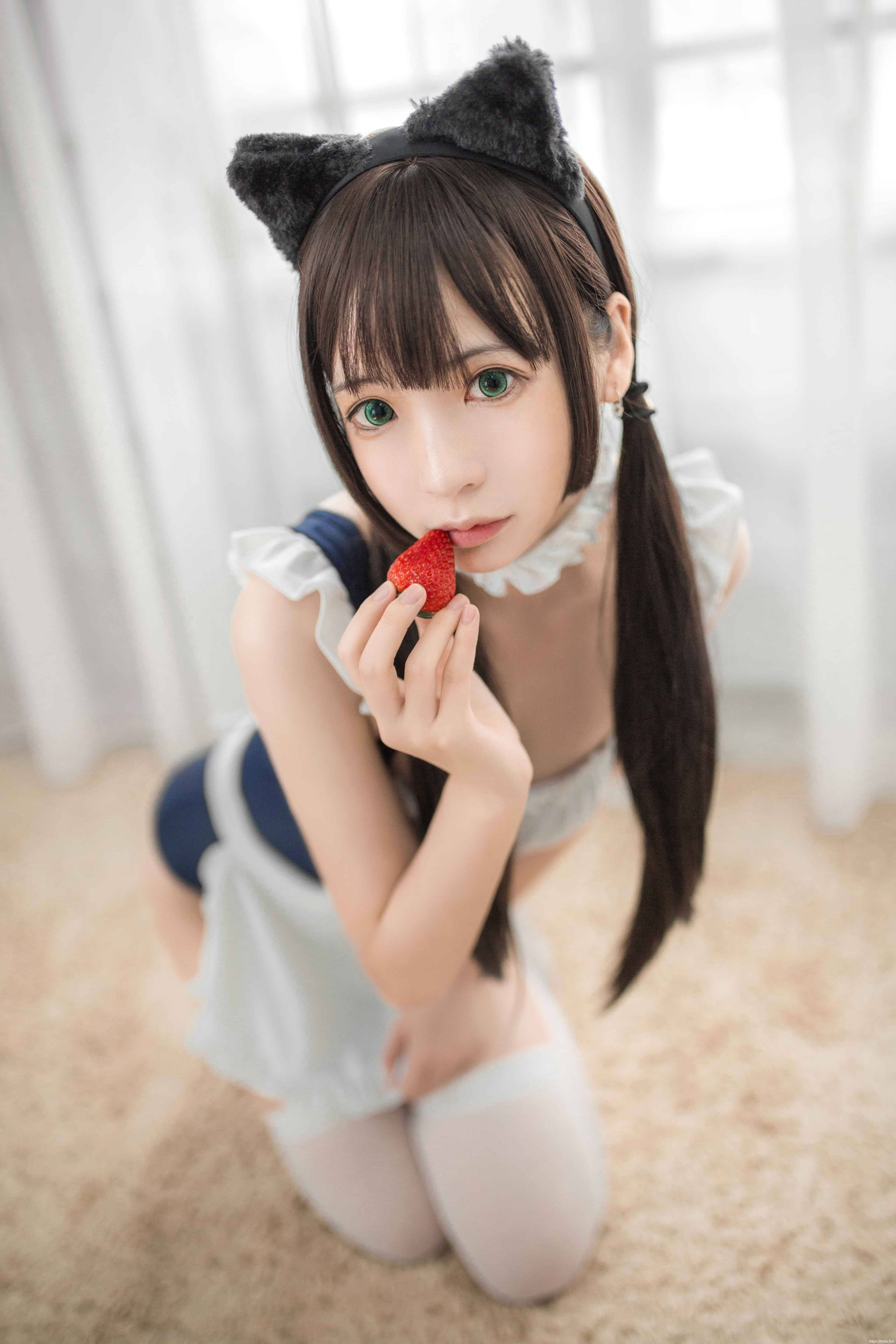 疯猫ss - 猫死库水