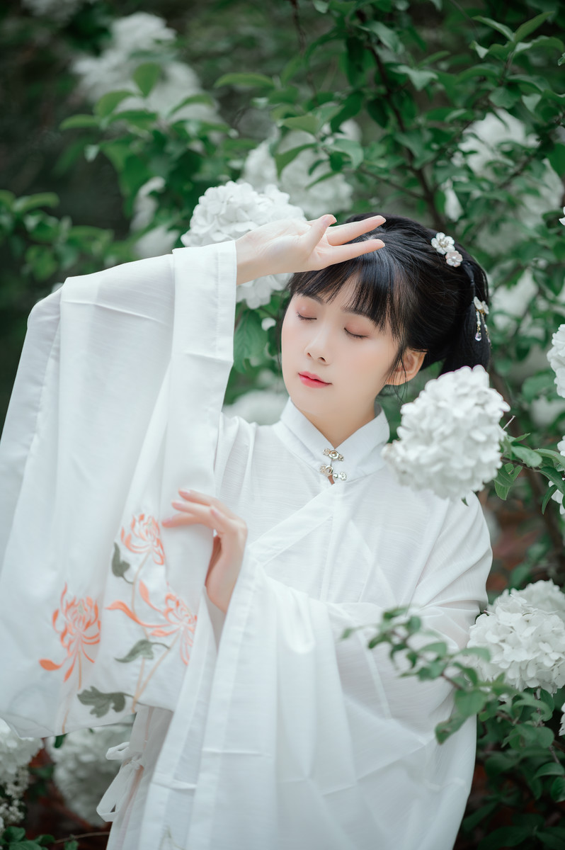 气质淡雅端庄的大家闺秀端庄大气唯美古风摄影图片