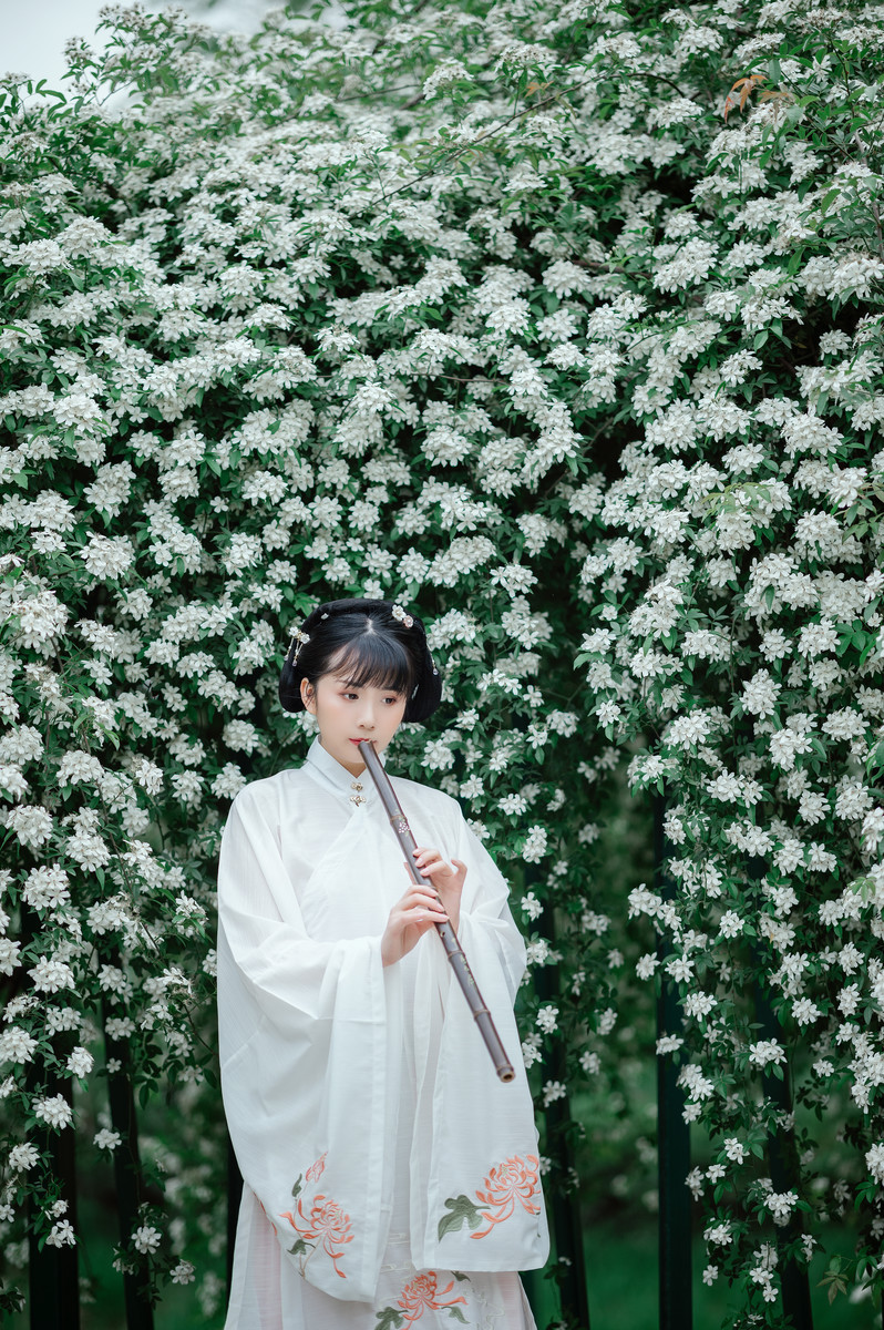 气质淡雅端庄的大家闺秀端庄大气唯美古风摄影图片