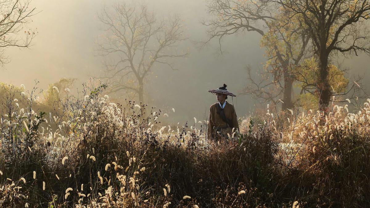 冷艳霸气的古装侠女森系唯美古装摄影图片