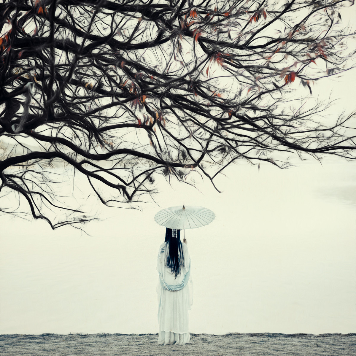 鹅蛋脸汉服美女轻纱飘逸唯美养眼的古风摄影图片