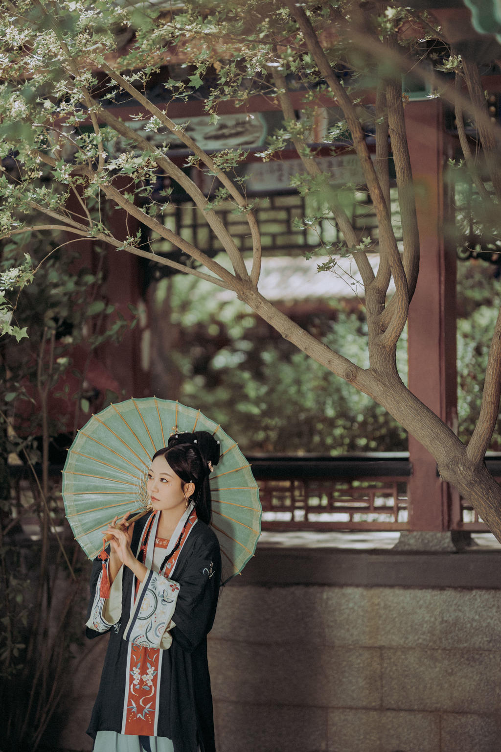 古装大家闺秀温婉端庄古风摄影图片