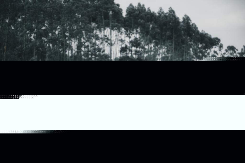 古风侠女气质英姿飒爽霸气美女图片