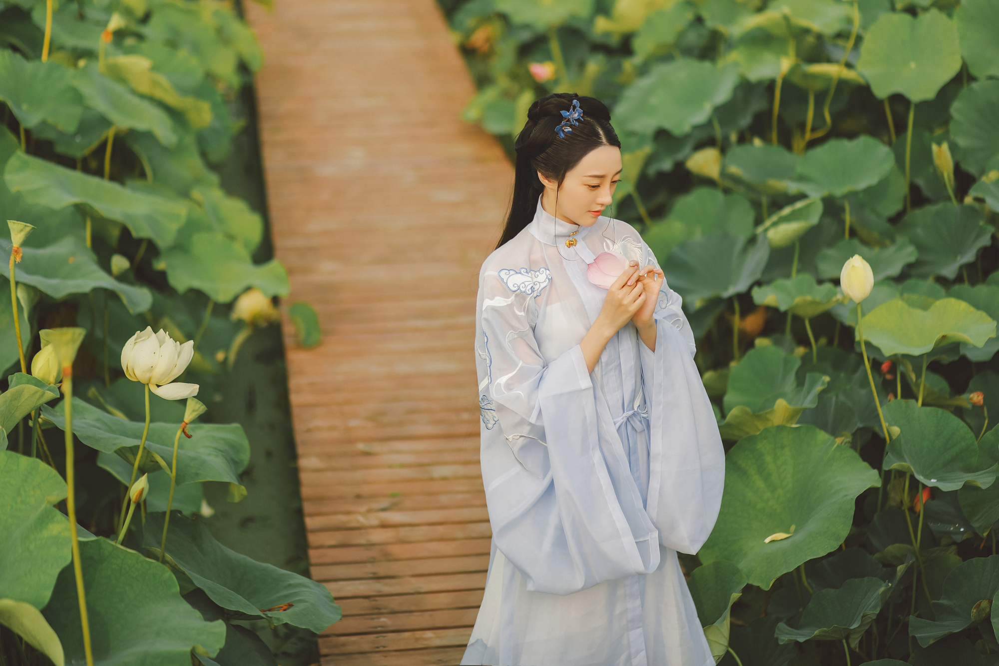 夏日荷塘美女淡色古装摄影图