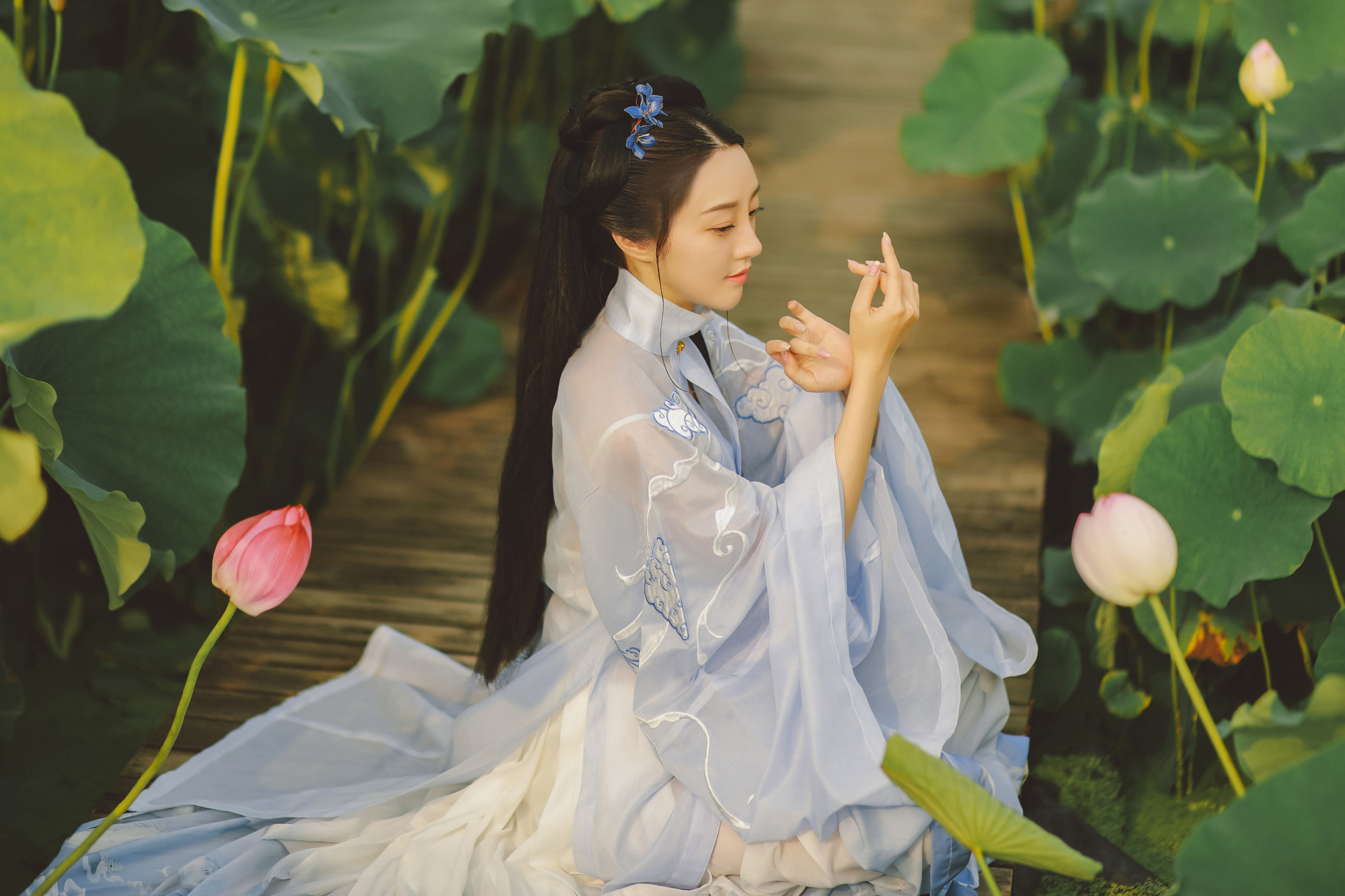 夏日荷塘美女淡色古装摄影图