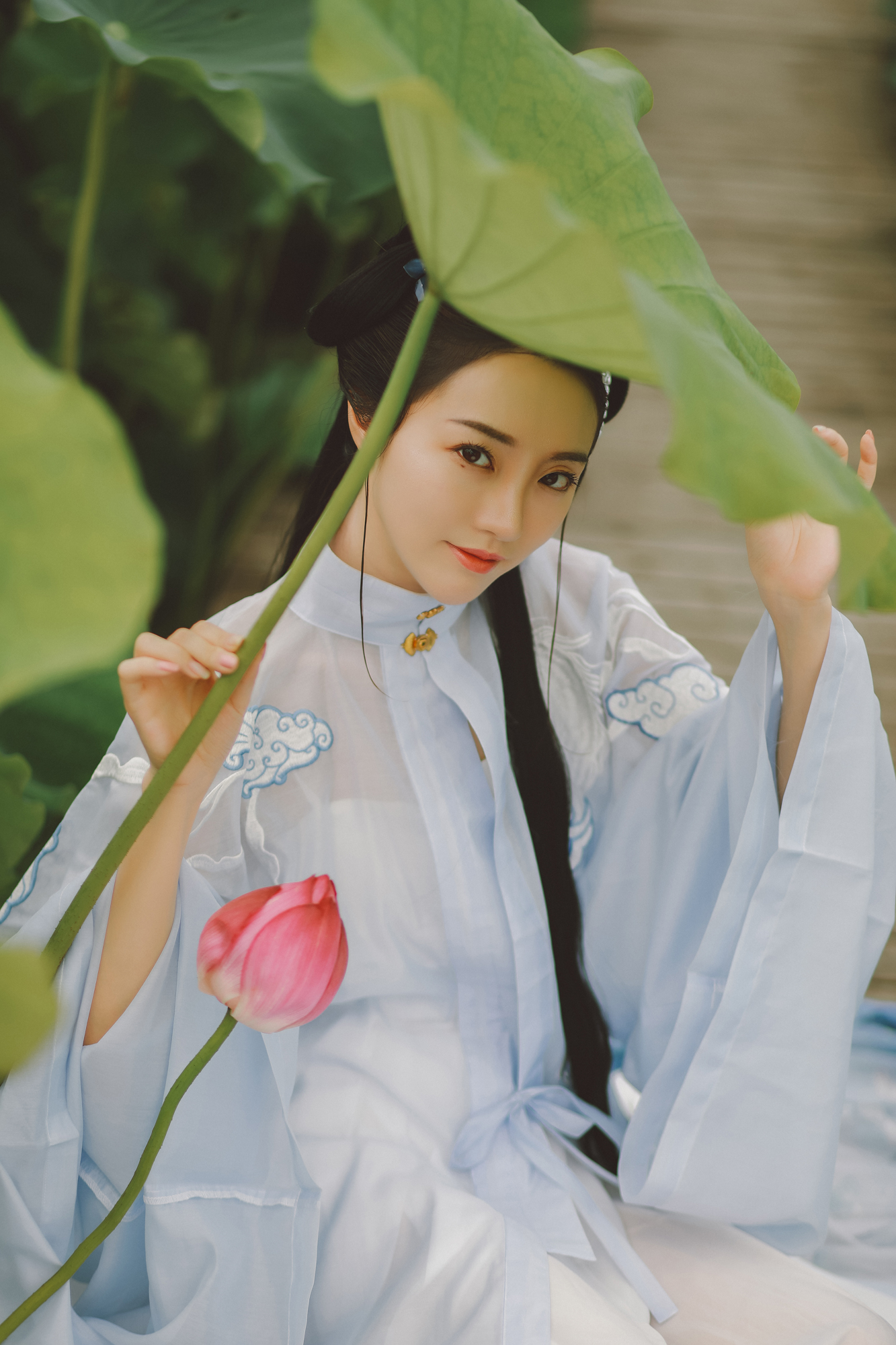 夏日荷塘美女淡色古装摄影图