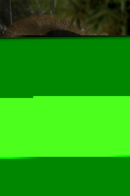 英姿飒爽的古装侠女养眼古风摄影