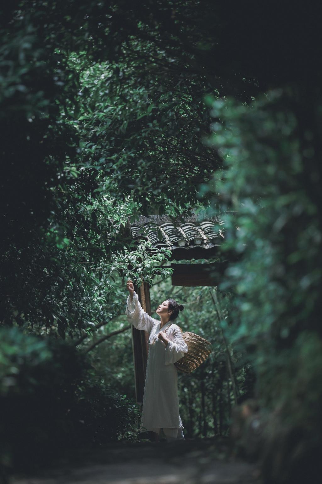 圆脸古装美女竹林森系古风图片