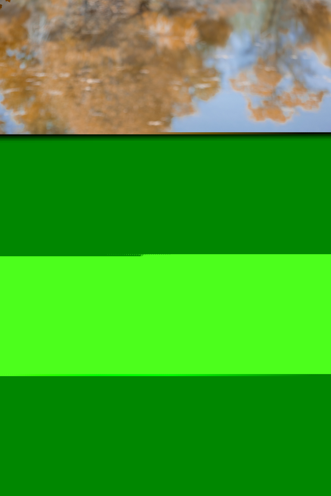 温柔端庄的漂亮美人唯美古风摄影图片