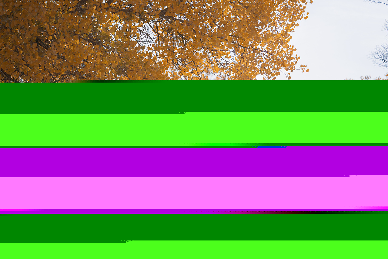 温柔端庄的漂亮美人唯美古风摄影图片