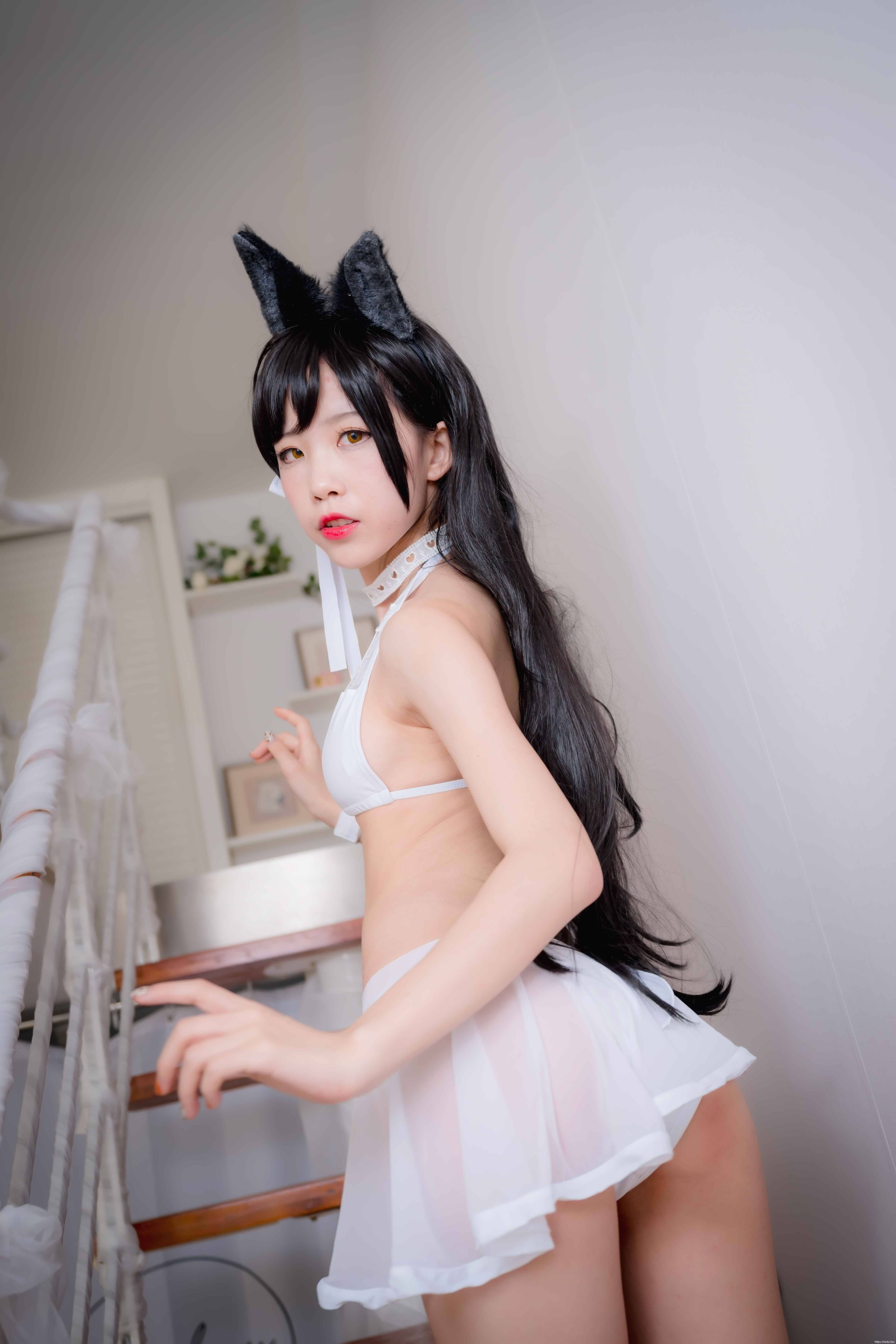 水淼aqua 爱宕犬 水着