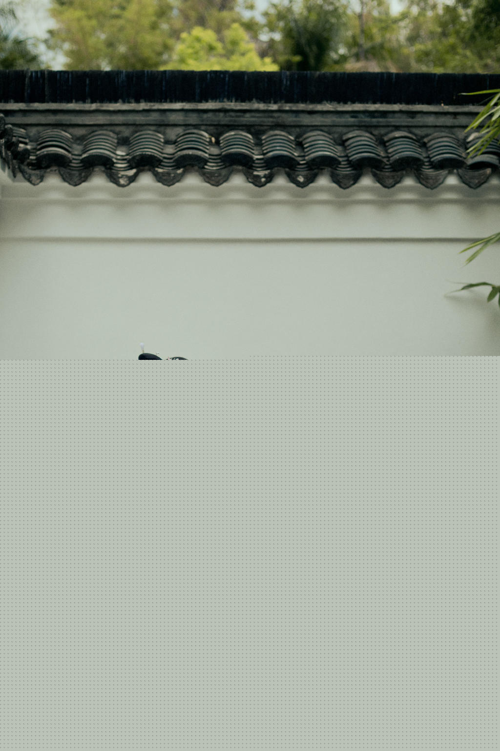 气质端庄大气的古装美人唯美古风图片