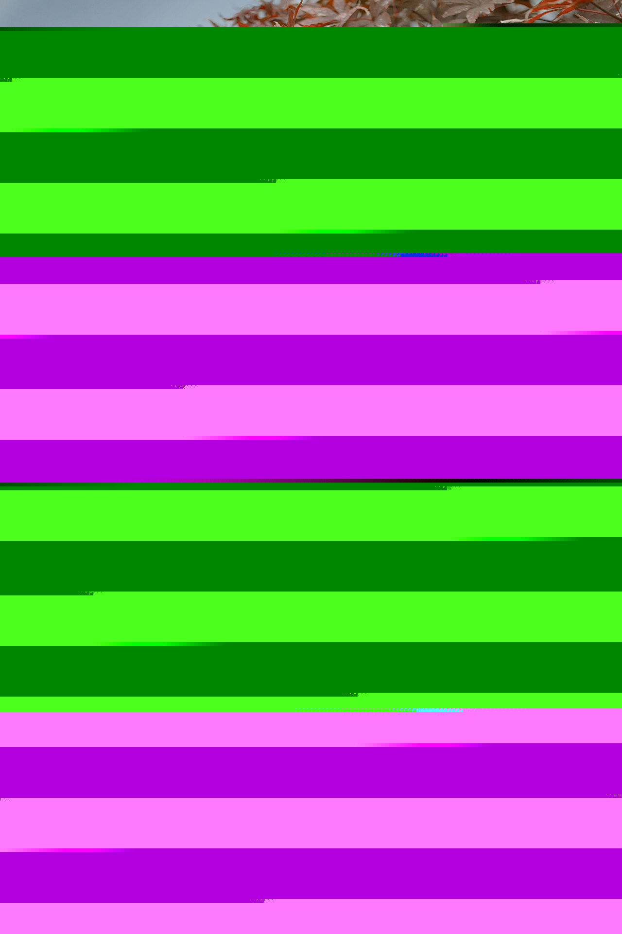 林间美人飘逸古装唯美古风图片