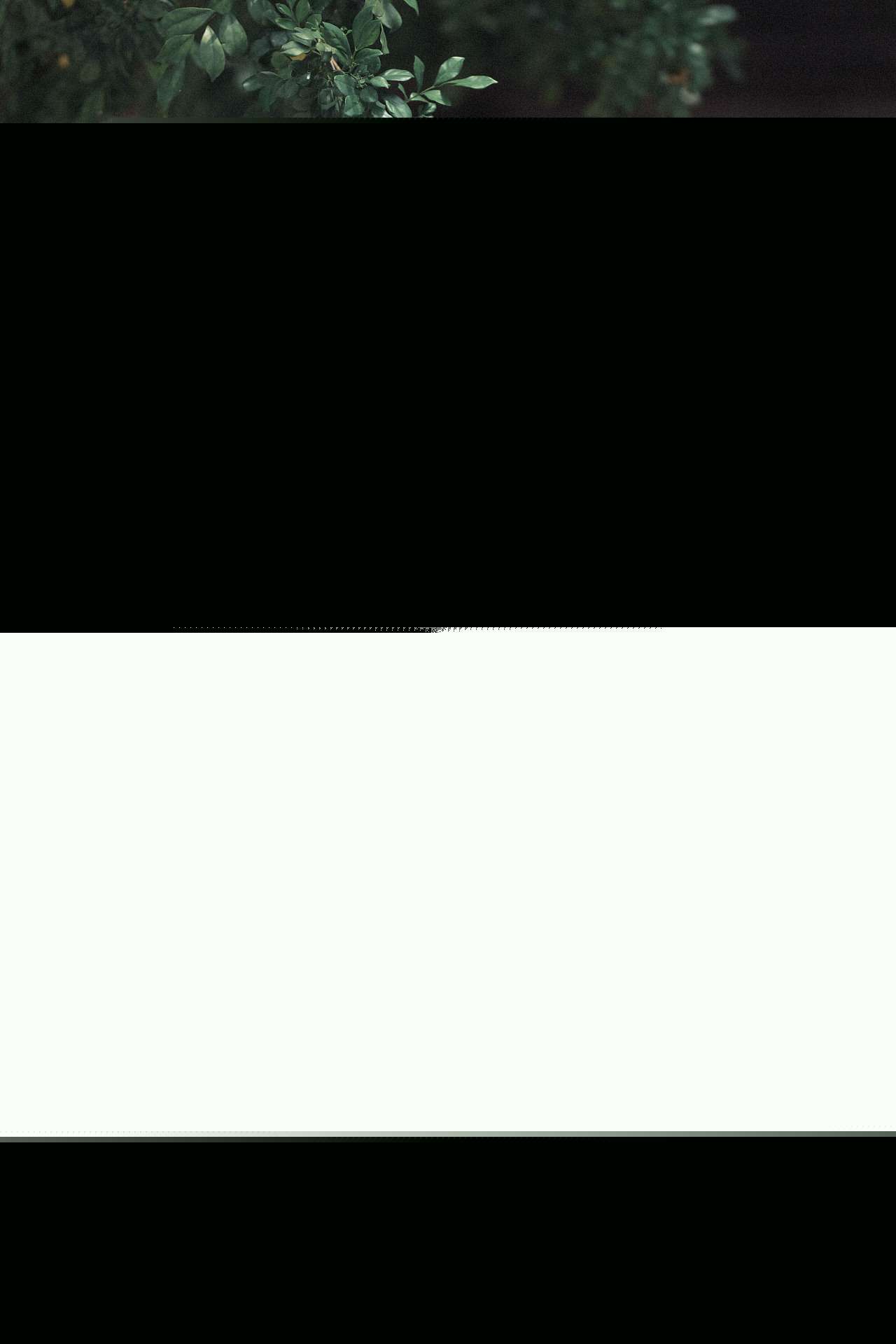 唐朝大美人古装汉服图片