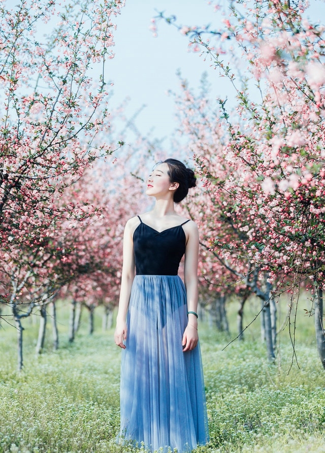 人间四月美如画芭蕾美女舞动人生