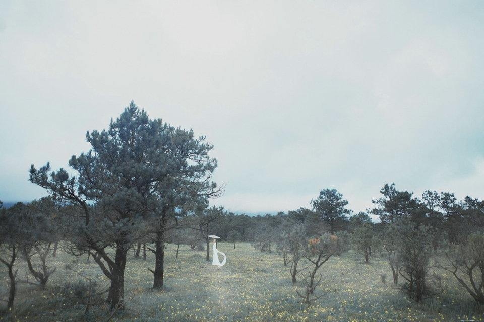 白衣汉服美女长发飘飘文艺气息魅人