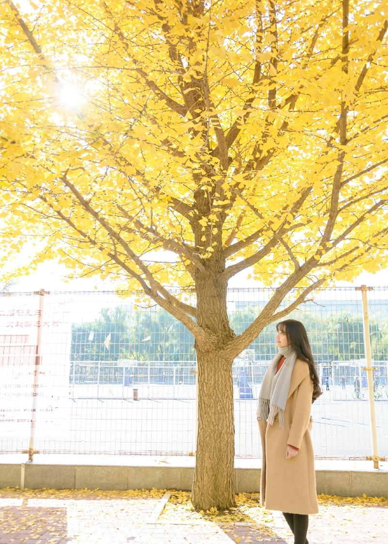 秋天落叶中的气质森系美女笑容迷人写真