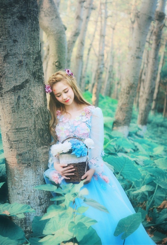 森林里的蓝精灵清新靓丽唯美可人