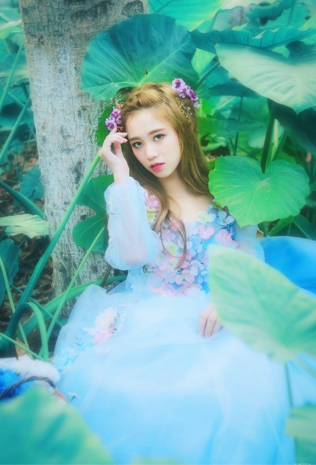 森林里的蓝精灵清新靓丽唯美可人