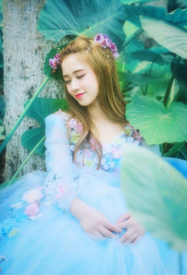 森林里的蓝精灵清新靓丽唯美可人