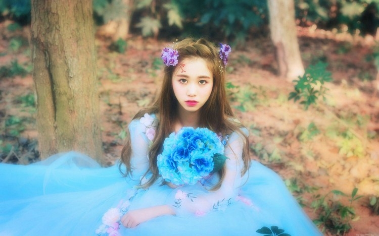 森林里的蓝精灵清新靓丽唯美可人